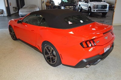 2025 Ford Mustang EcoBoost Premium