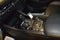 2024 Mazda Mazda3 Hatchback 2.5 S Select Sport