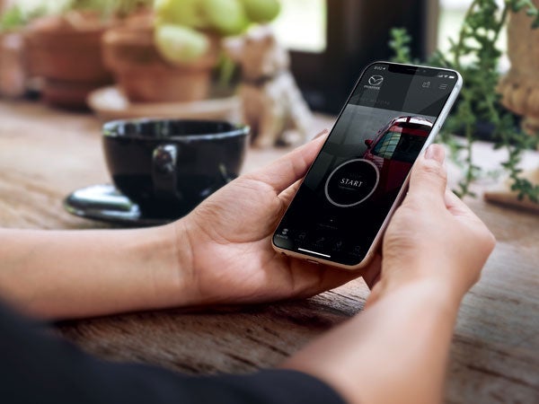 Champion Mazda Owensboro, KY in Owensboro KY